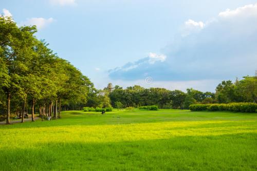 環境標準的總體作用